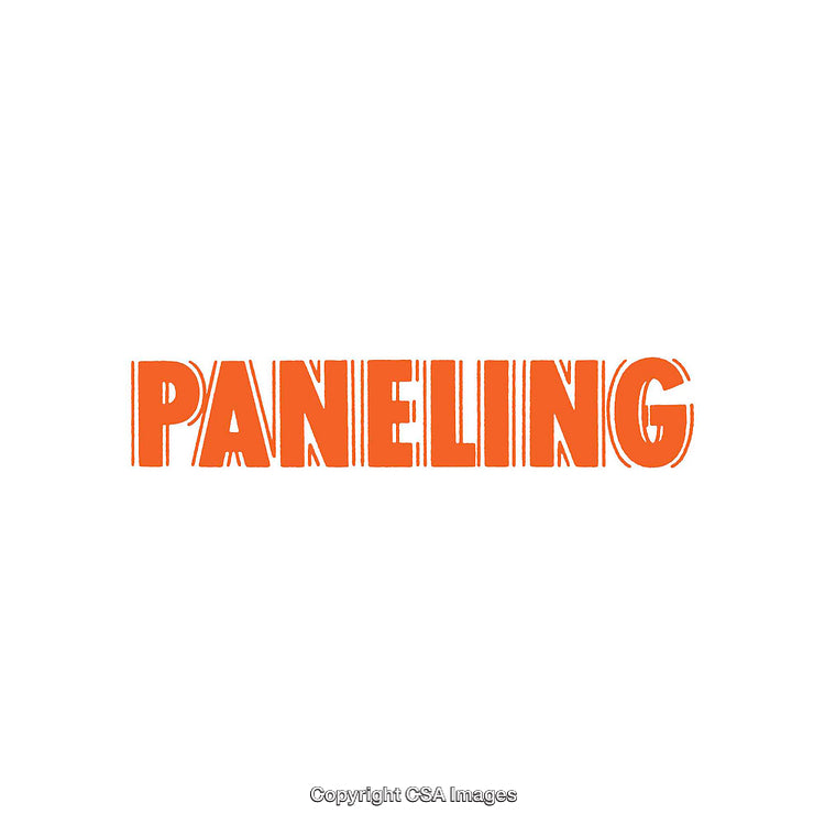 Bold Text Design Featuring the Word Paneling in Vibrant Orange