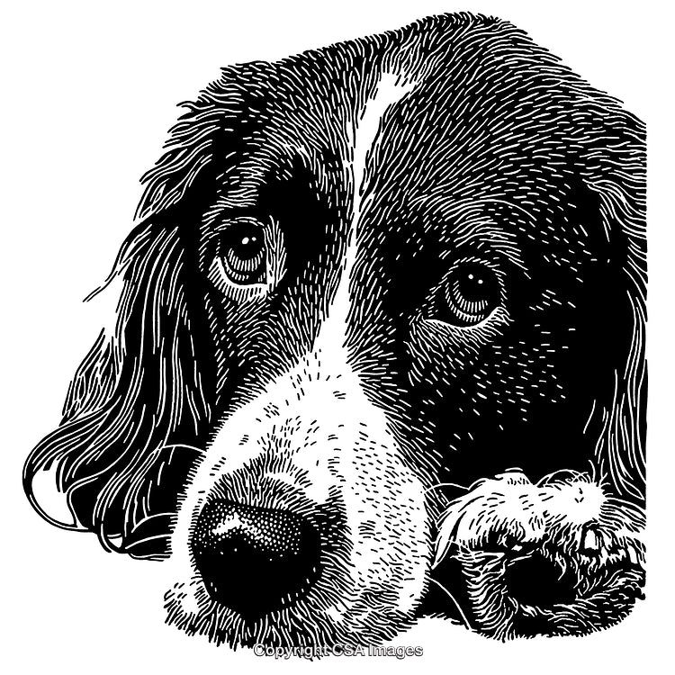 Detailed Black and White Engraving of a Thoughtful Dog Lying Down