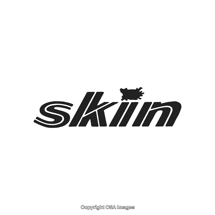 Creative Logo Design Featuring the Word 'Skin' in Unique Typography