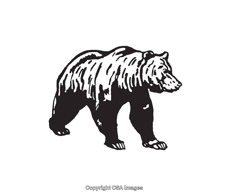 Black and White Line Art Illustration of a Walking Grizzly Bear