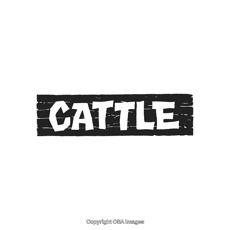 Bold Text Design Featuring the Word Cattle in a Rustic Style Format