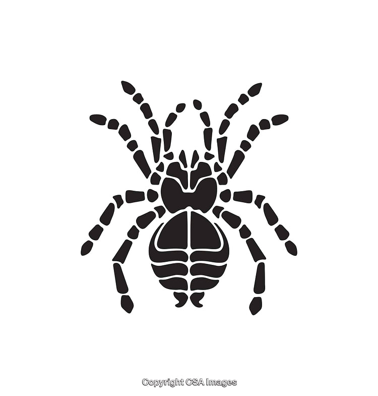 Detailed Black and White Icon of a Tarantula Spider