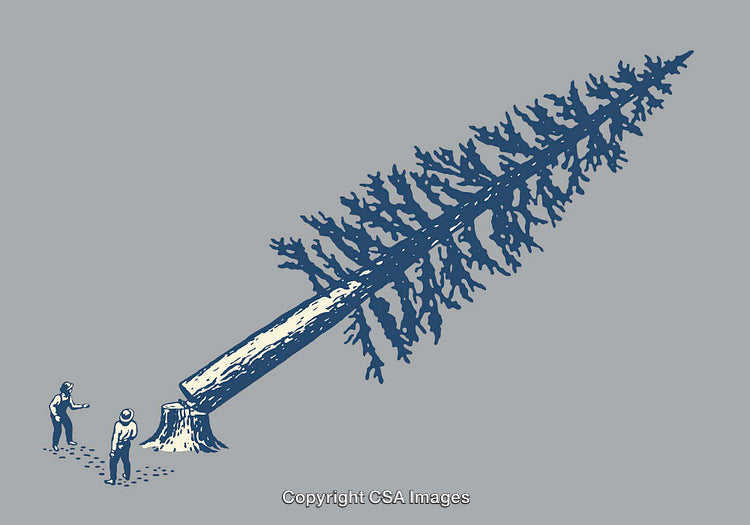 Illustration of Two People Cutting Down a Large Evergreen Tree