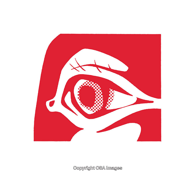 Abstract Red Eye Icon in Graphic Artistic Style