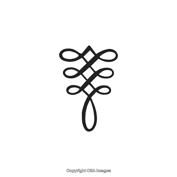 Intricate Black and White Decorative Design Ornament in a Minimalist Style