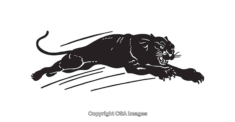 Black Panther Illustration in Simple Black and White Line Art Style