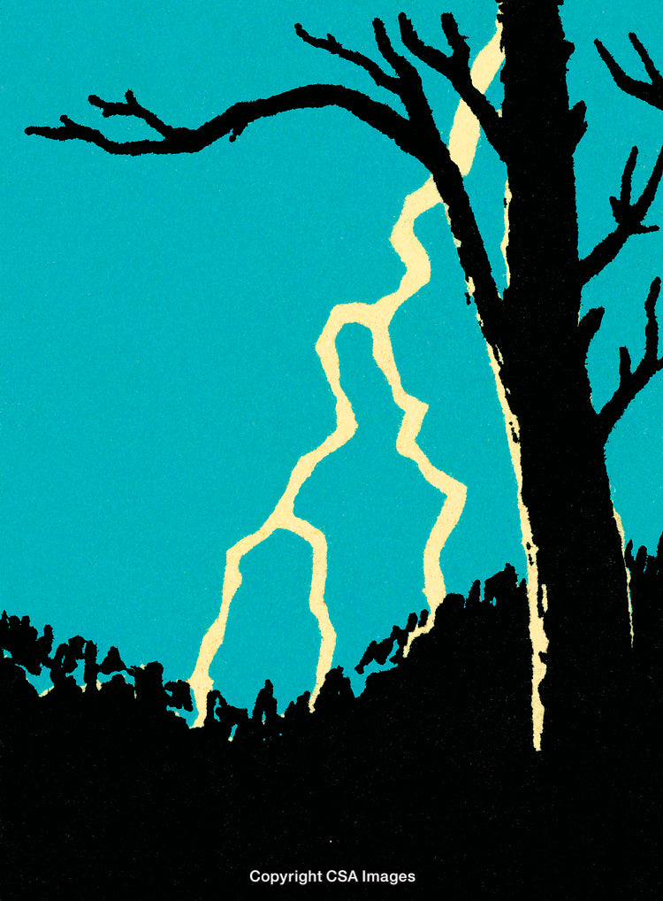 Silhouette of a Tree During Bright Lightning in a Stormy Night