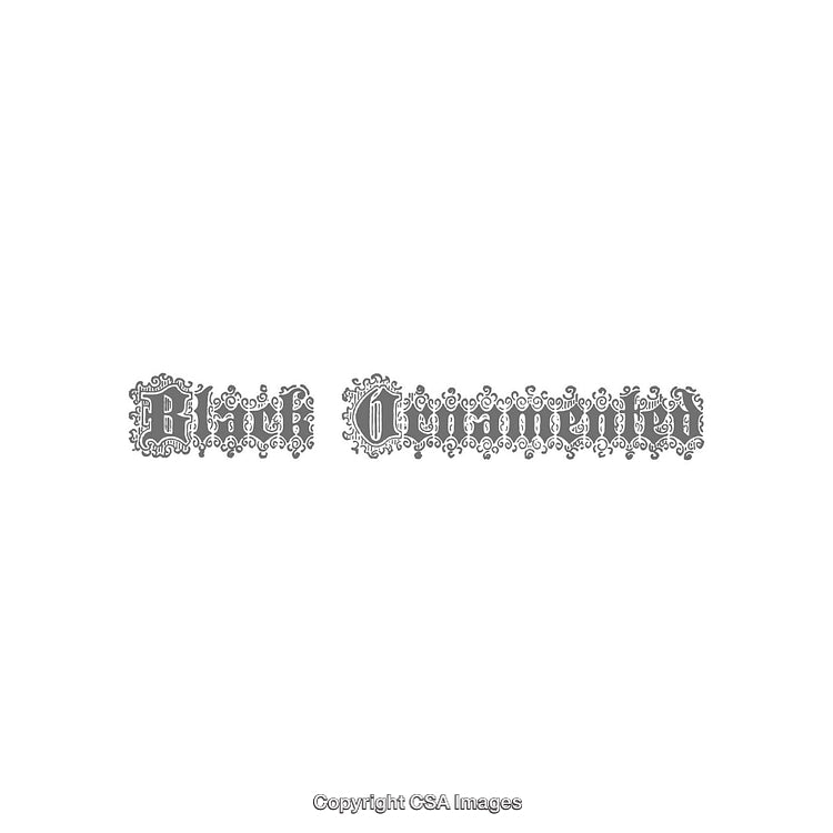 Intricate Black Ornamental Design With Elegant and Decorative Flourishes on White Background