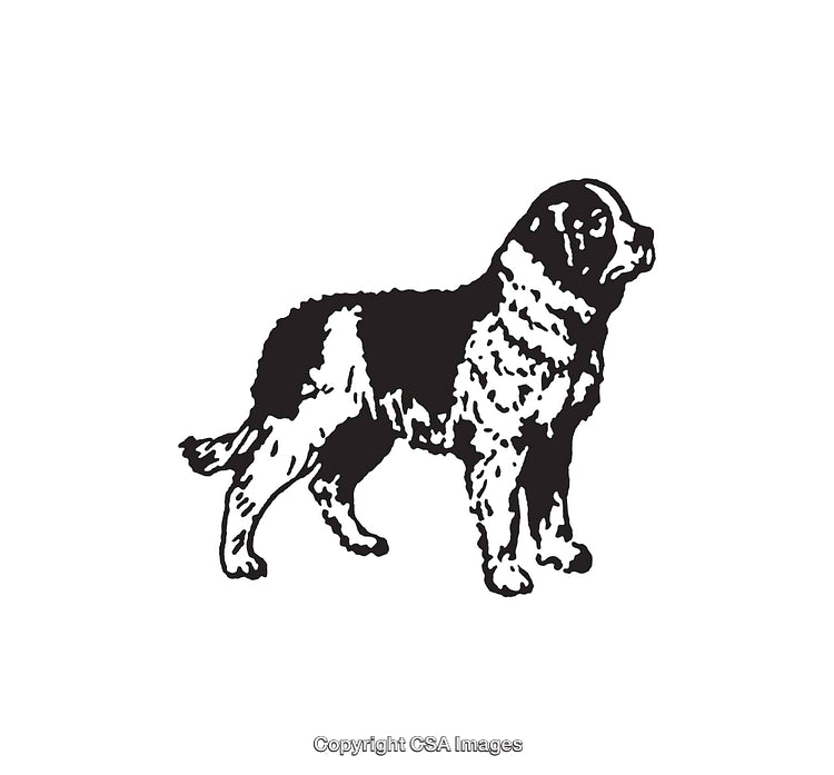 Black and White Line Art Illustration of a St. Bernard Dog