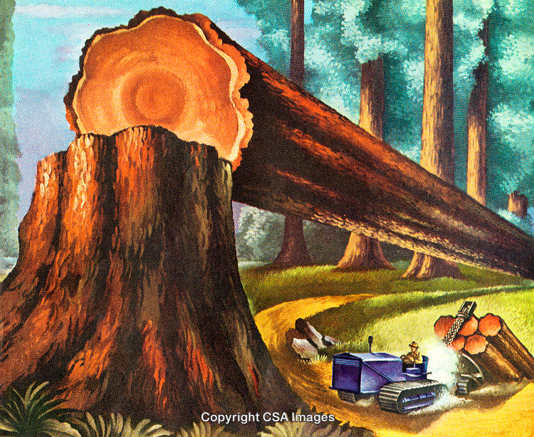 Logging Scene Depicting Tree Felling in a Forest with a Worker and Machinery