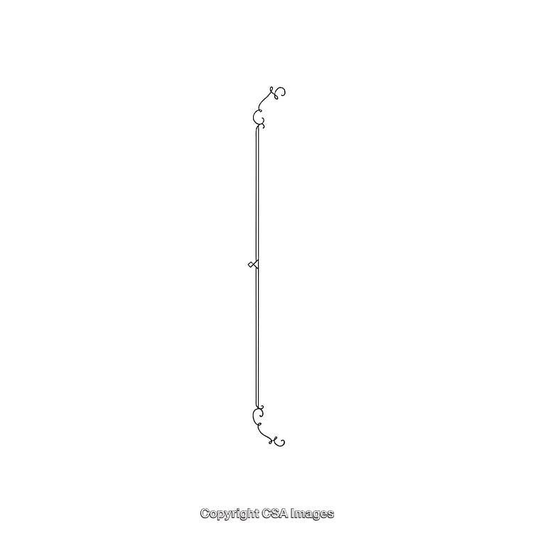 Elegant Linear Black and White Decorative Design Ornament Illustration