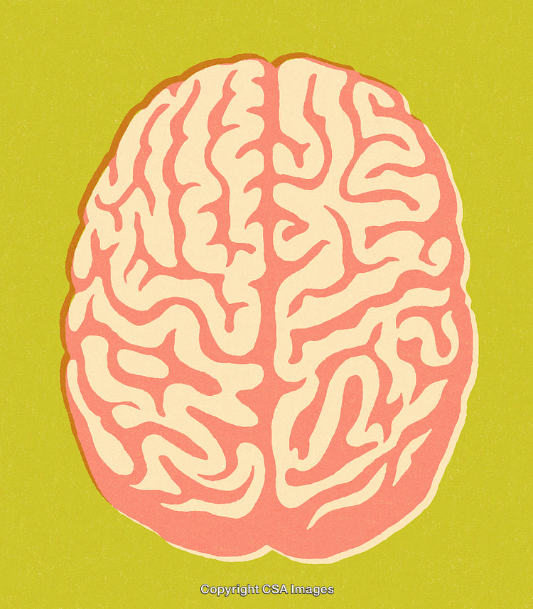 Colored Illustration of Brain Symbolizing Thinking, Innovation, and Creativity on Green Background