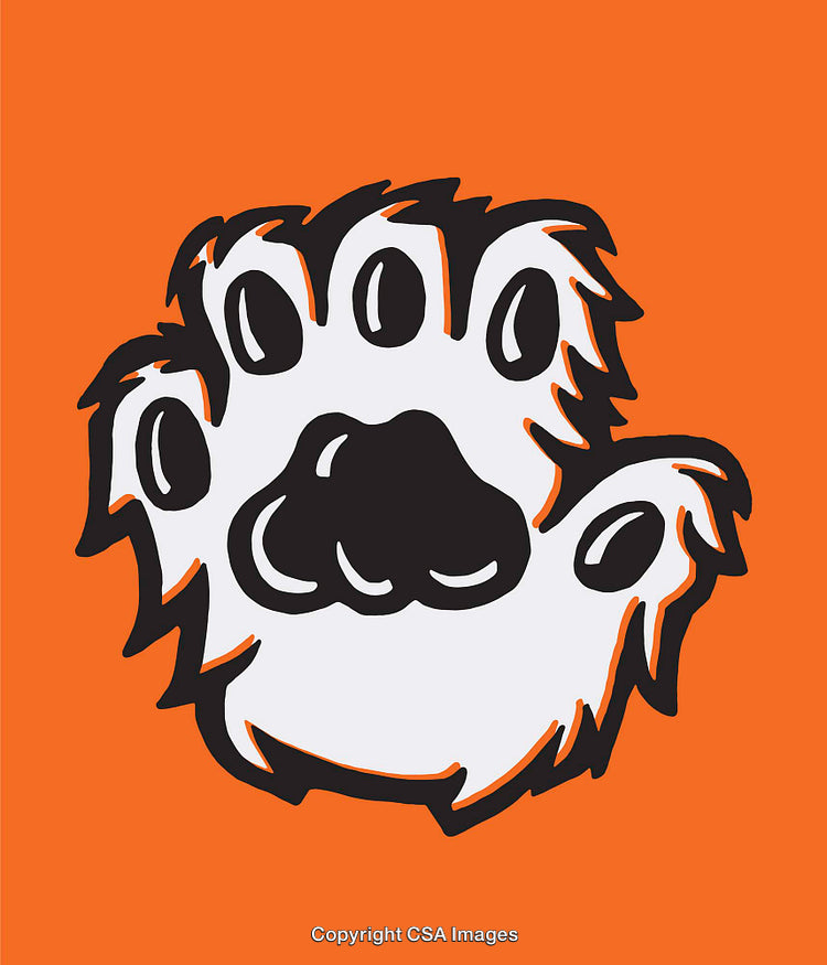 Bold Graphic Paw Print Illustration on Vibrant Orange Background