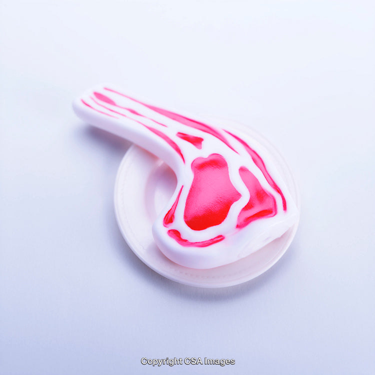 Colorful Plastic Toy Shaped Like a Piece of Meat on White Surface