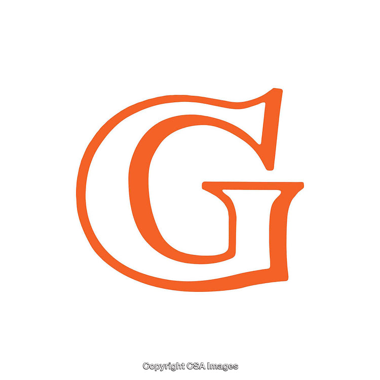 Stylized Orange Letter G on White Background