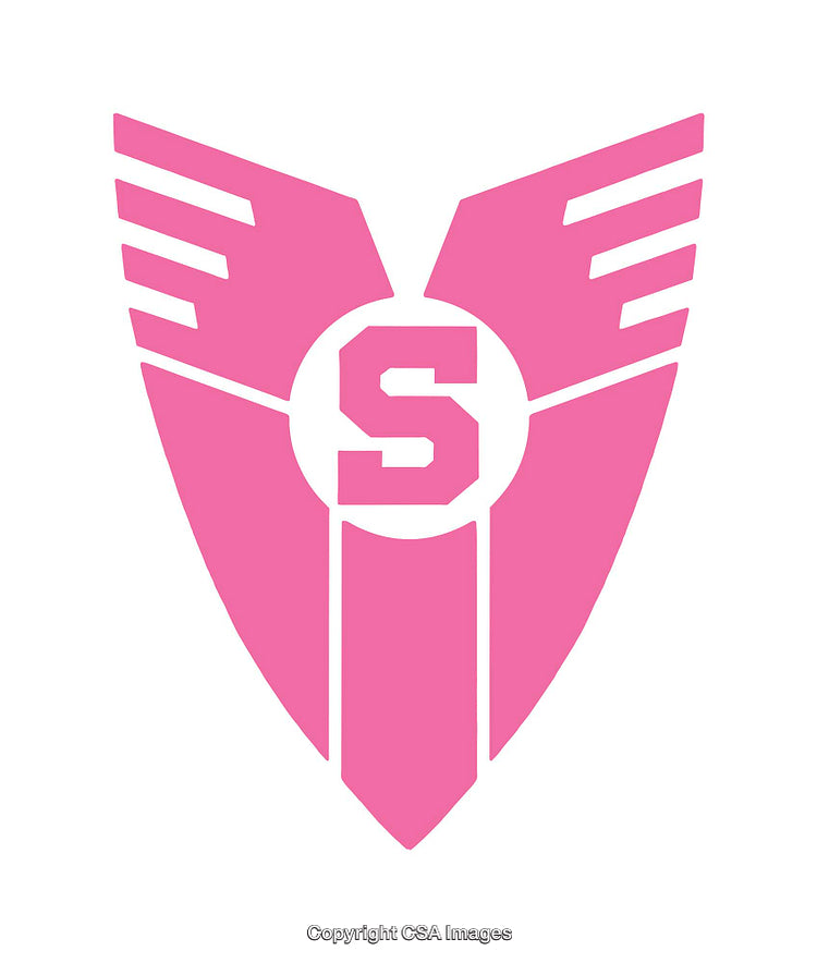 Pink Winged Shield Icon with Simple S Letter Design