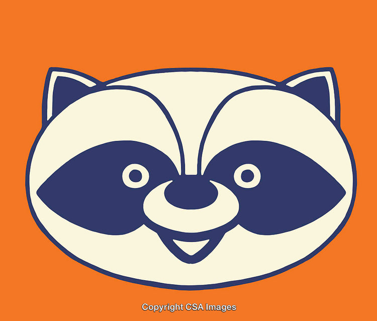 Happy Cartoon Raccoon Face Against a Bright Orange Background