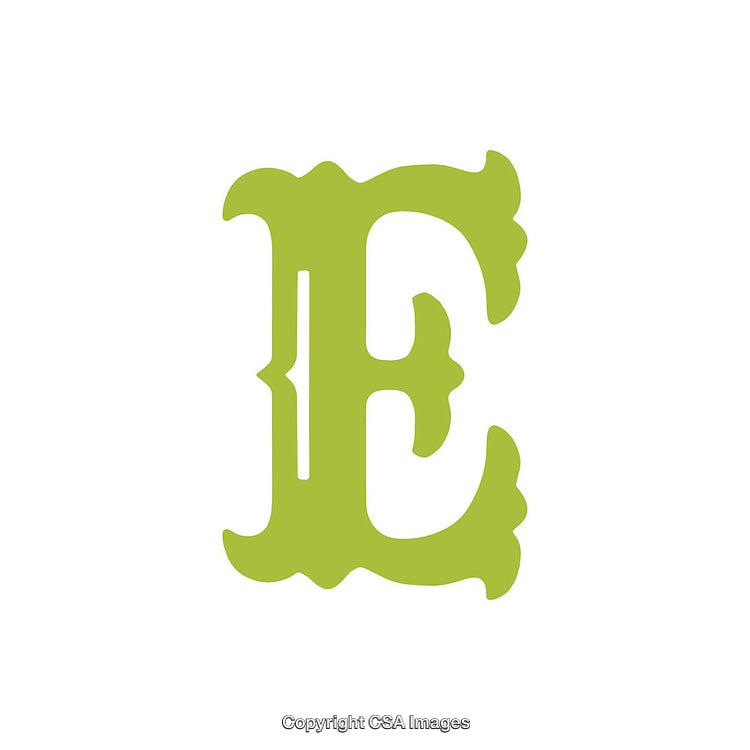 Ornate Green Letter E on White Background in Decorative Style