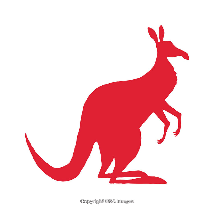 Red Kangaroo Silhouette Icon on White Background