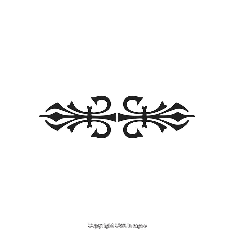 Elegant Black and White Decorative Ornament with Symmetrical Design