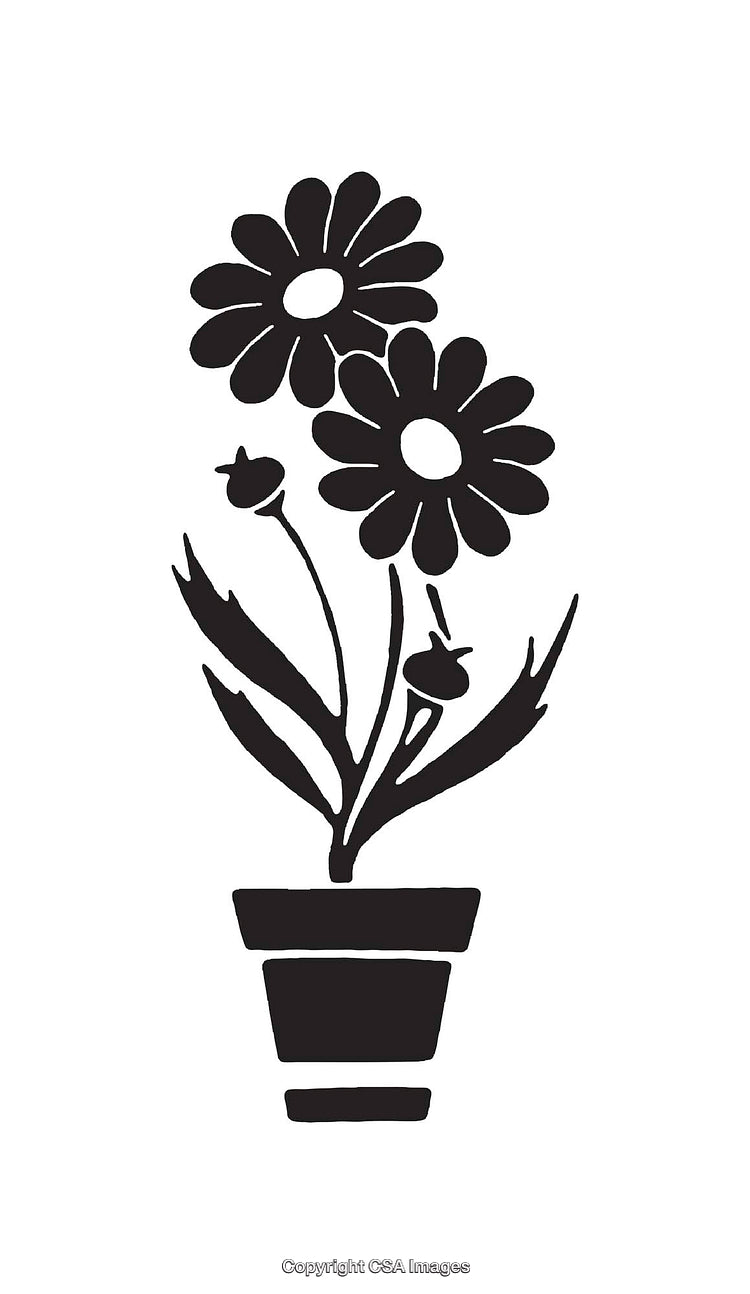 Black and White Line Drawing of Two Flowers in a Planter