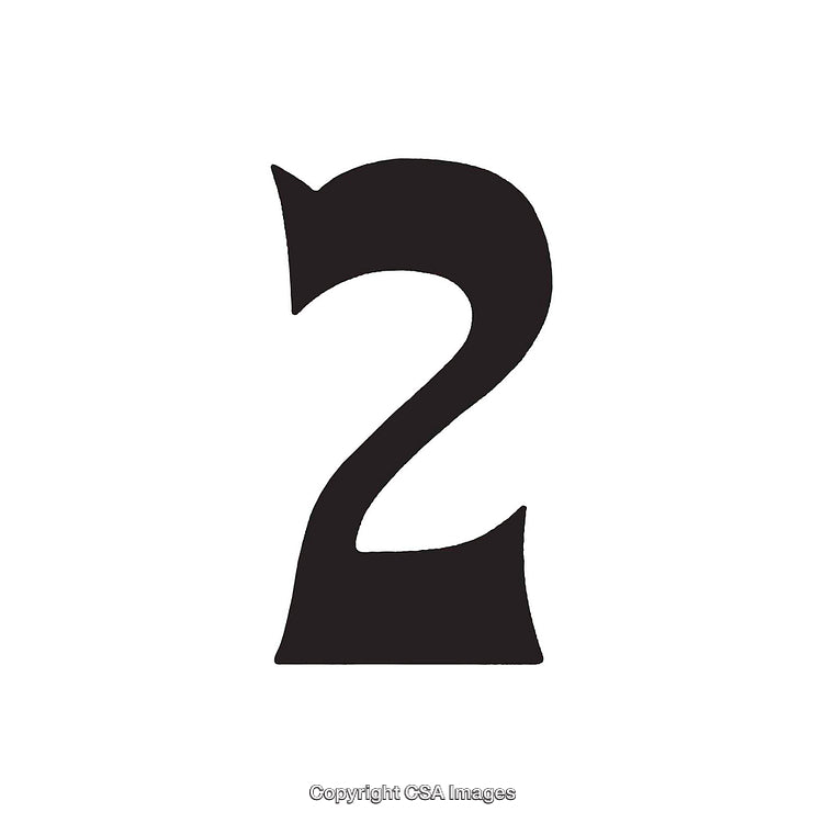 Elegant Black Number Two on a White Background