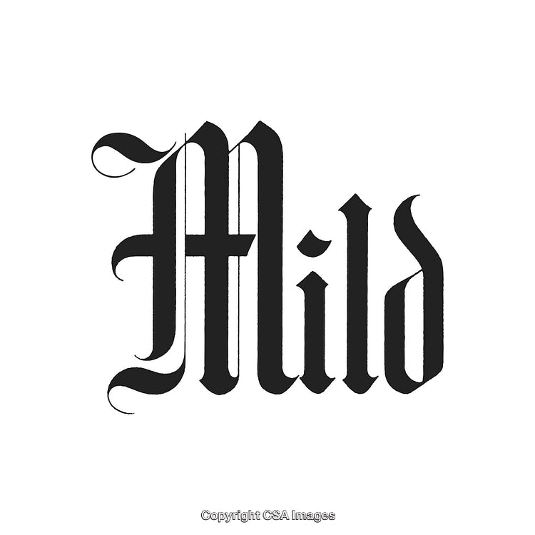 Elegant Blackletter Typography Featuring the Word 'Mild' in Bold Black Style