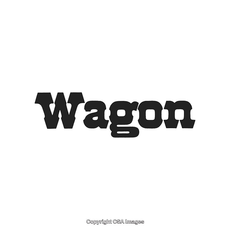 Vintage Western-Style Typography Displaying the Word 'Wagon' in Black Letters