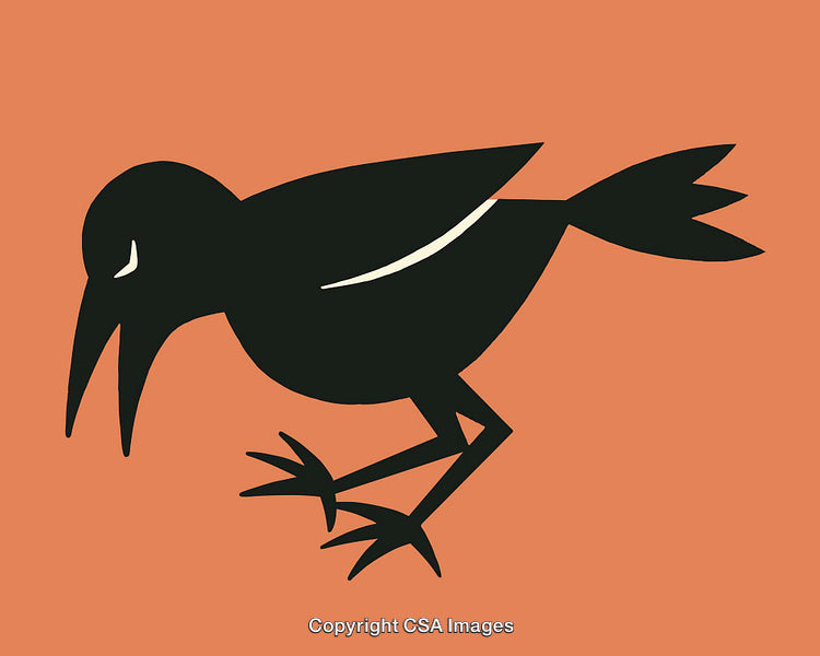 Minimalistic Black Bird Illustration on a Solid Orange Background