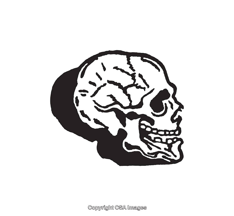 Black and White Illustration of a Human Skull Side View
