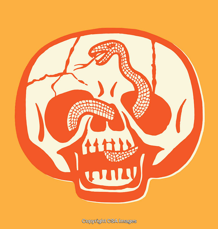 Colorful Illustration of a Snake Within a Skull on a Dark Orange Background