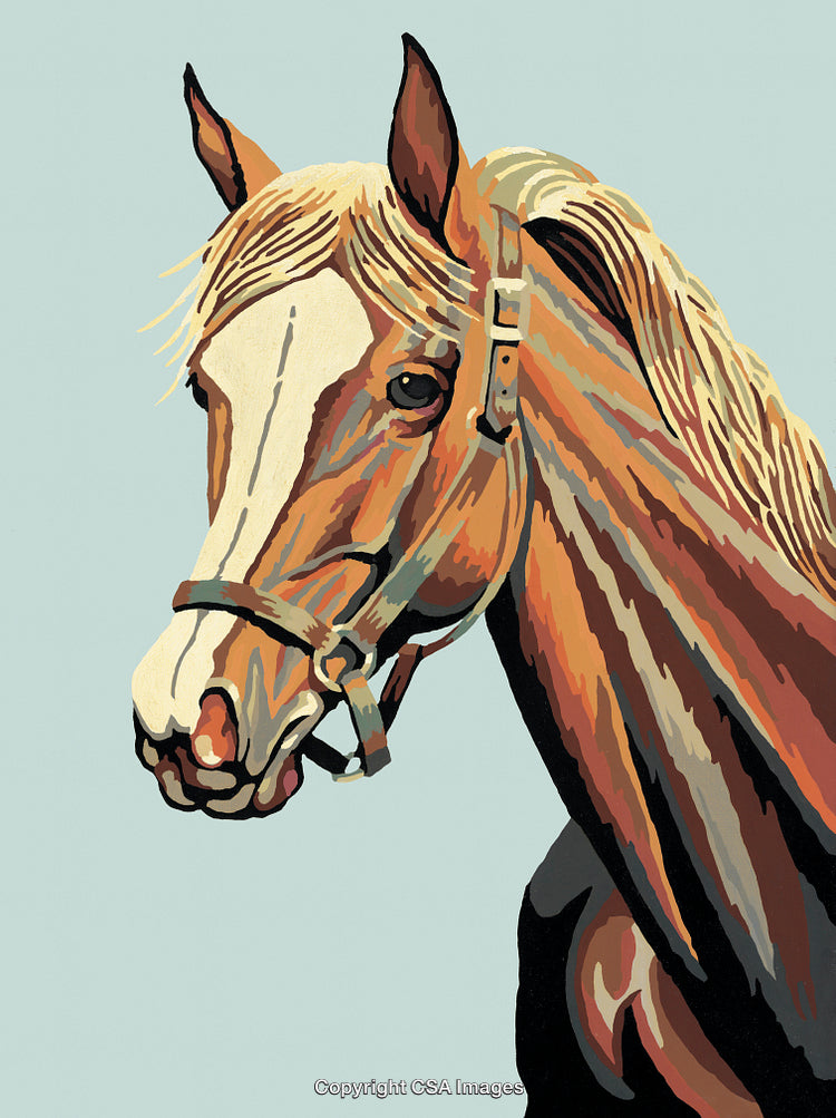 Stylized Paint By Numbers Illustration of a Graceful Brown Horse