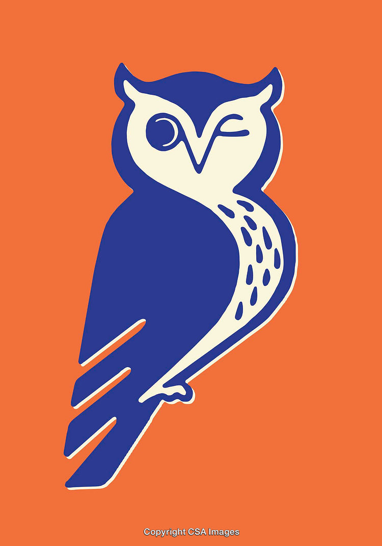 Abstract Minimalist Illustration of a Winking Owl on an Orange Background
