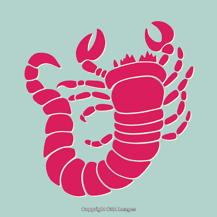 Colorful Line Art Illustration of a Lobster in Vibrant Hues