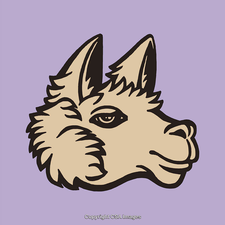 Stylized Animal Illustration of a Fox in Minimal Line Art Style