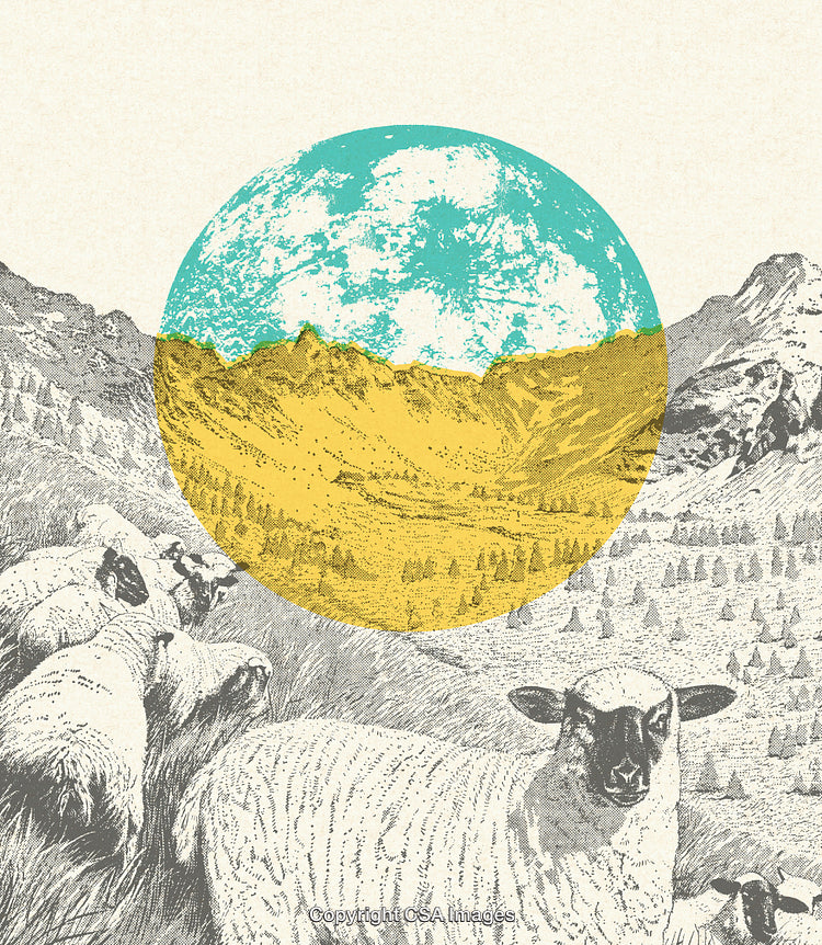 Vintage Artistic Illustration of Sheep with Pastoral Landscape and Abstract Elements