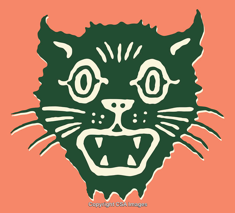 Graphic Illustration of a Fierce Cat Face on Orange Background