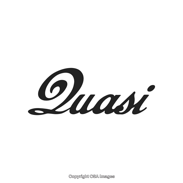 Elegant Cursive Text Logo on Clean White Background with Artistic Touch