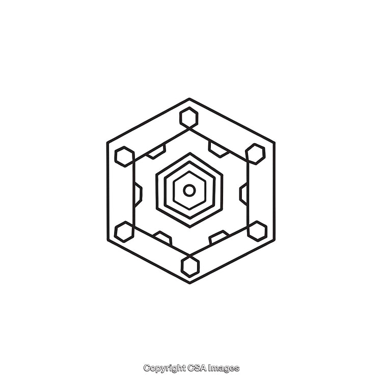 Black and White Hexagonal Geometric Line Art with Symmetrical Design