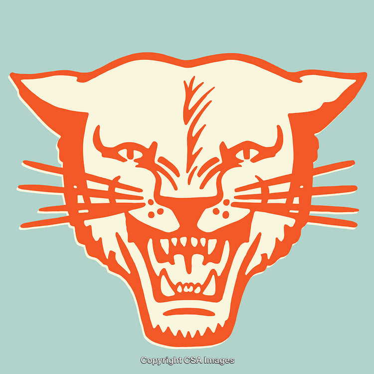 Stylized Line Art Illustration of a Fierce Tiger's Face in Bold Colors