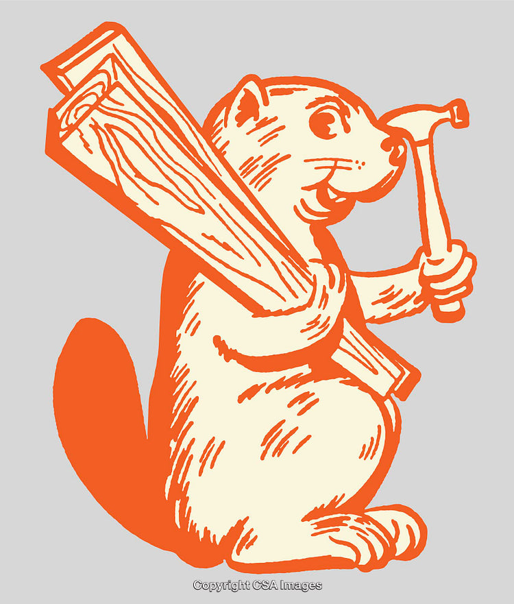 Illustration of a Beaver Holding Tools in a Characterized Cartoon Style
