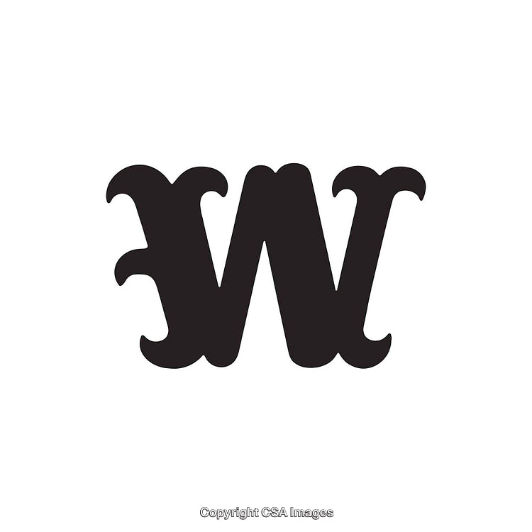 Elegant Serif-Style Black Letter W on a White Background