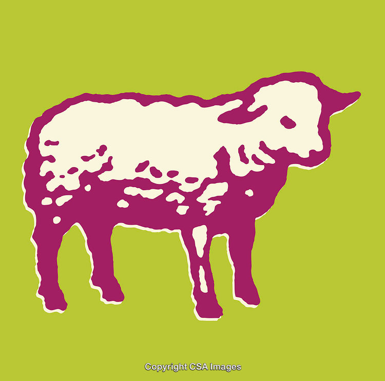 Colorful Line Art Illustration of a Sheep with Vibrant Background