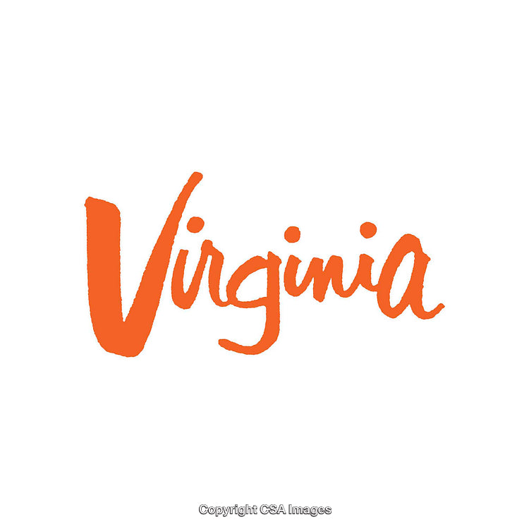 Bright Orange Handwritten Virginia on a Clean White Background