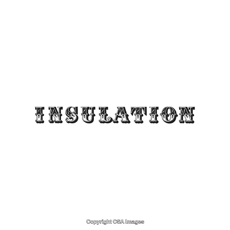 Black Vintage Lettering Design Featuring the Word Insulation on White Background