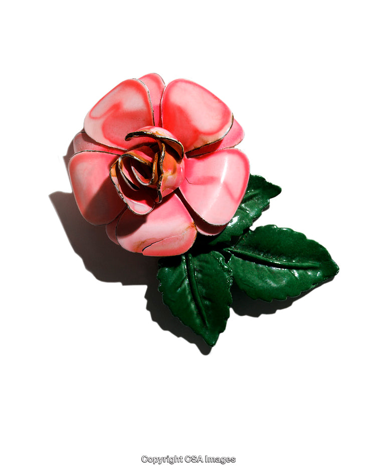 Pink Plastic Rose Blooming with Green Leaves on White Background