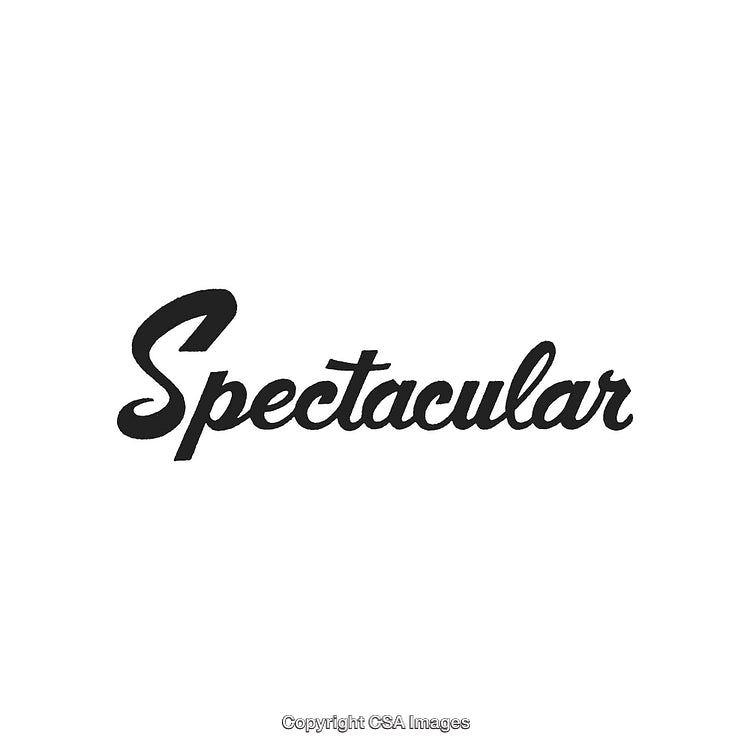 Elegant Script Text Featuring the Word 'Spectacular' in Stylish Black Font