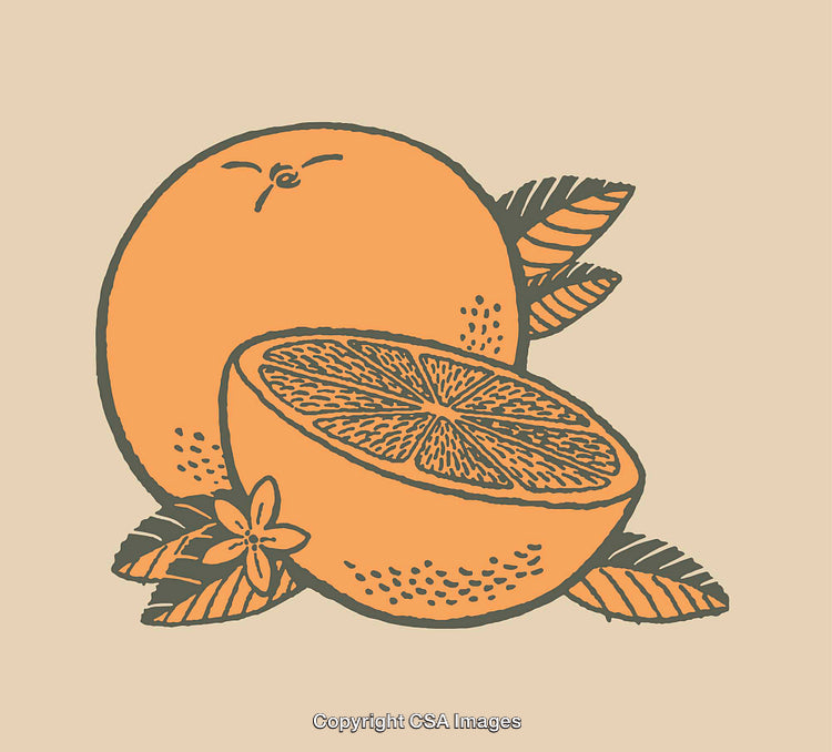 Colorful Line Art Illustration of Sliced Orange with Leaves and Florals