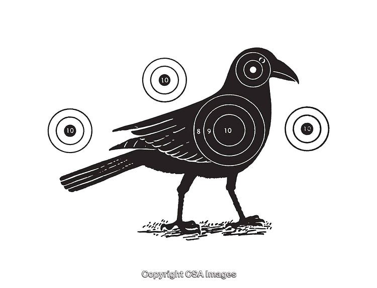 Vintage Black And White Bird Target Illustration with Bullseye Indicators