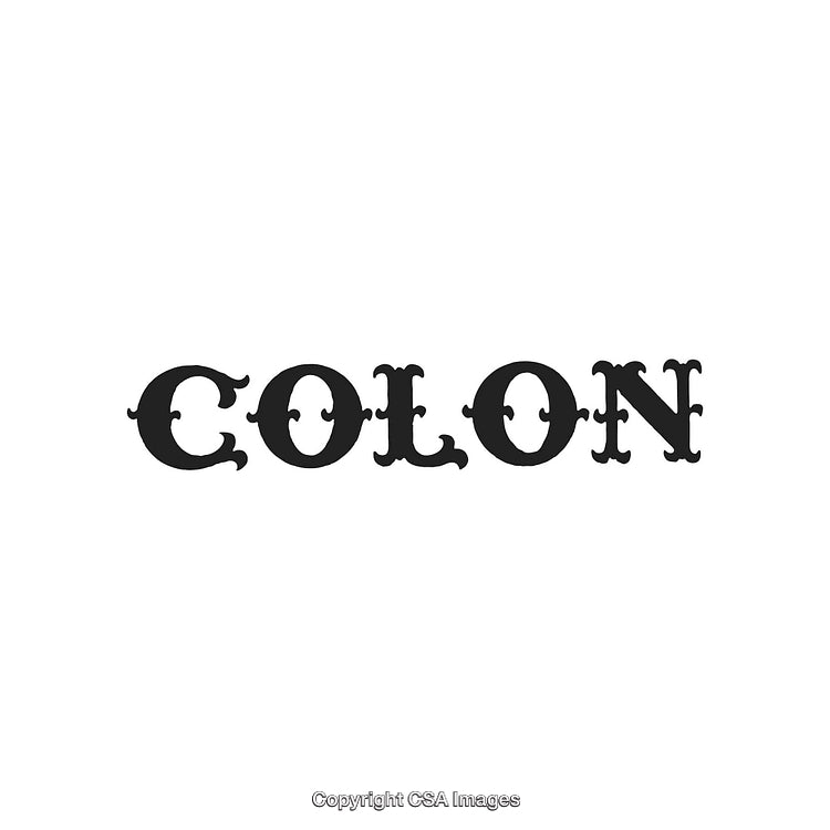 Decorative Serif Typography Highlighting The Word 'Colon' With Ornamented Font Style